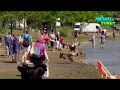 Animal event 2018  aftermovie