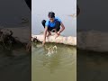 Amazing Hook Fishing Technique | Catching Fish With hook Trap | Fish Trapping Video #fishing #trap