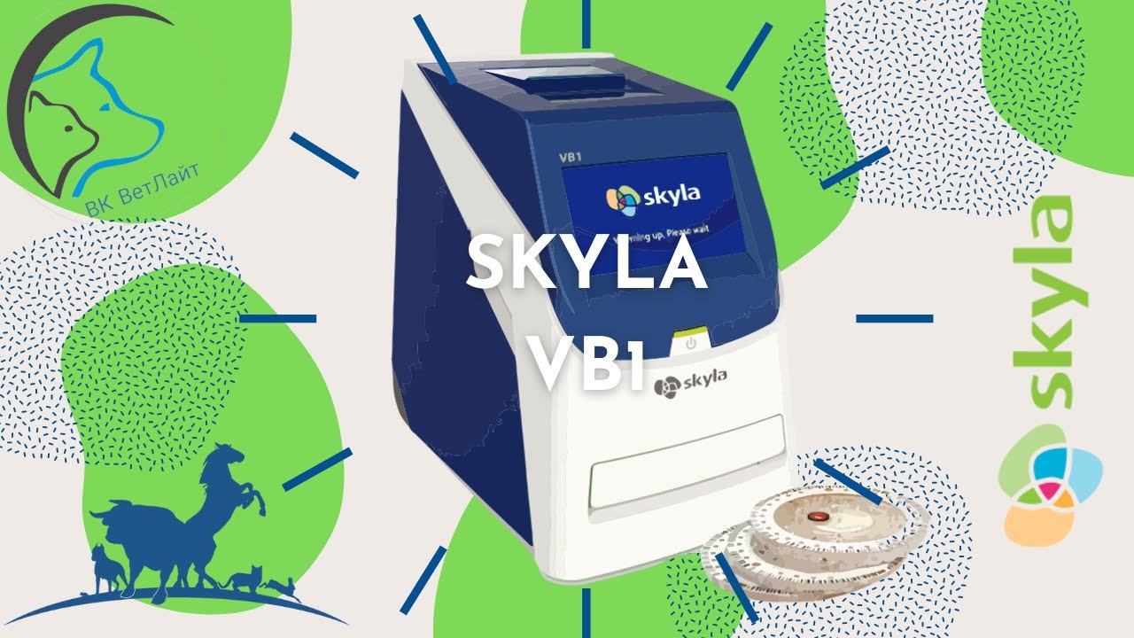 Skyla VB1 ветеринарный биохимический анализатор. Обзор - YouTube
