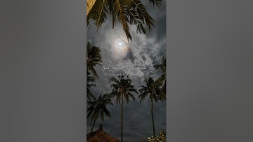 ياسر الدوسري | سورة الاسراء #القرآن_الكريم #اكسبلور #المصحف #تلاوات #yasseraldossary #ياسر_الدوسري