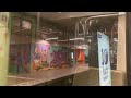 Führerstandsmitfahrt der Baureihe TV 6000 Linie 13 Fasanenkrug von Hauptbahnhof bis Lister Platz