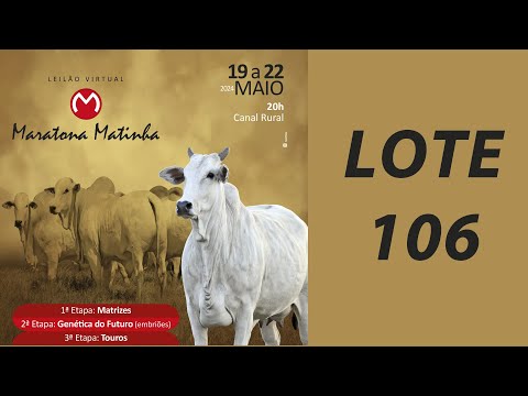 LOTE 106