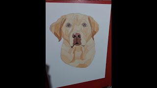 Si SpeedPaint | Geometric Pet Painting Timelapse by Melissa Hilliker 20 views 1 month ago 1 minute