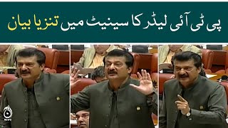 Shahzad Saleem’s sarcastic speech at Senate on KP cabinet formation - Aaj News