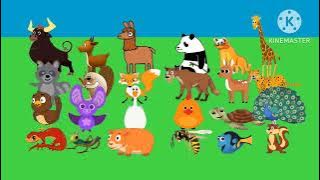 Animal Sounds Song ABC Kid TV 2 [Coming Soon]