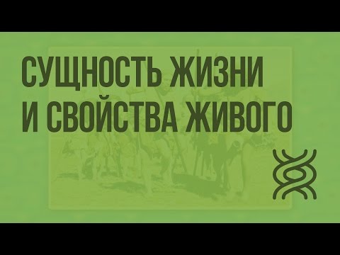 Сущность жизни и свойства живого. Видеоурок по биологии 10 класс