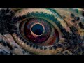 Download VoyageOfTime trl ee ru HD VoyageOfTime trl ee ru HD