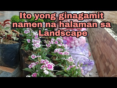 Video: 15 Mga Eksibisyon Para Sa Mga Taga-disenyo Ng Landscape