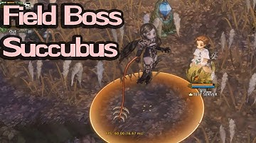 [TOS] New Field Boss Succubus