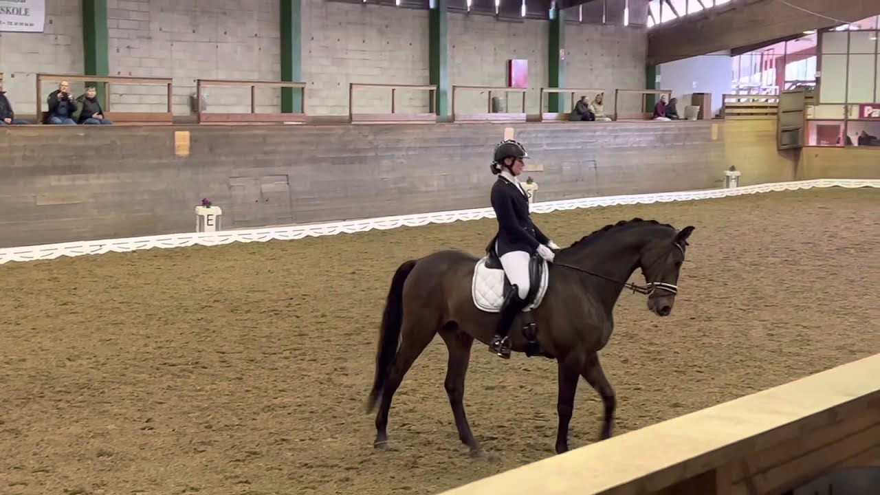 MB0 Ida Marie Veilis og Falkær’s El Magic 69,616%