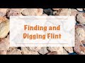 Finding and Digging Flint