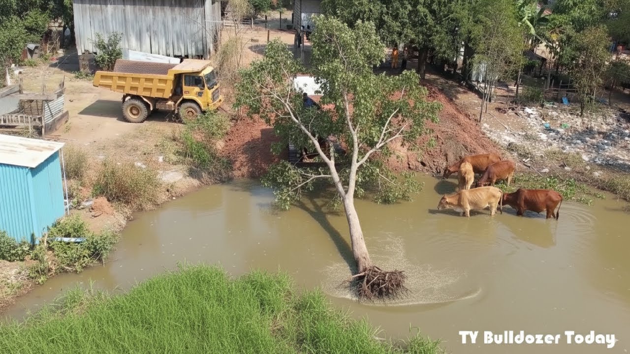 Amazing Bulldozer Action: KOMATSU D20P Dozer Clearing Land with Precision