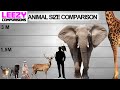 Animal Size Comparison  | LeeZY Comparisons