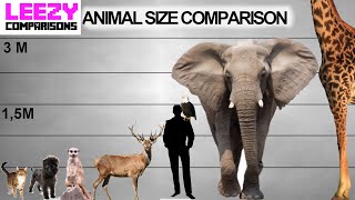 การเปรียบเทียบขนาดสัตว์ การเปรียบเทียบ LeeZY