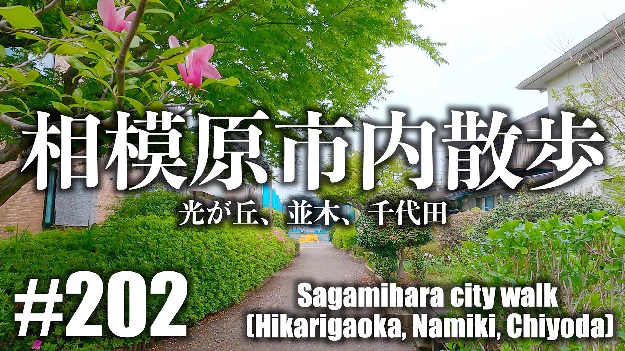 # 202 [4K] Прогулка по городу Сагамихара (Хикаригаока, Намики, Тиёда)