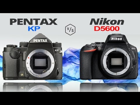 PENTAX KP vs Nikon D5600