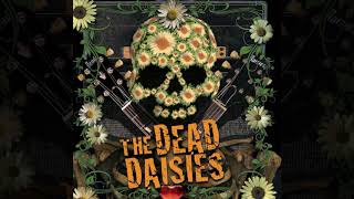 Watch Dead Daisies Writing On The Wall video