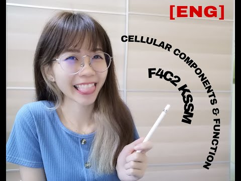 [ENG] SPM BIOLOGY F4C2 CELLULAR COMPONENTS & FUNCTIONS