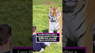 Less than 12 hours after a fatal tiger attack at Yorkshire Wildlife Park