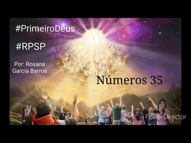Números 35 - Rosana