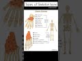Types of Skeleton system bones#shorts#shortsyoutube#shortsviral#