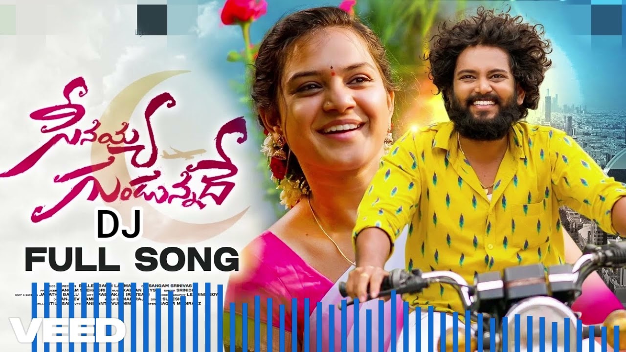 Seenayya Gundunnadhe Dj Full Song || MLR DJ SOUNDS || Telugu folk Song 2025 || Dj song 2025
