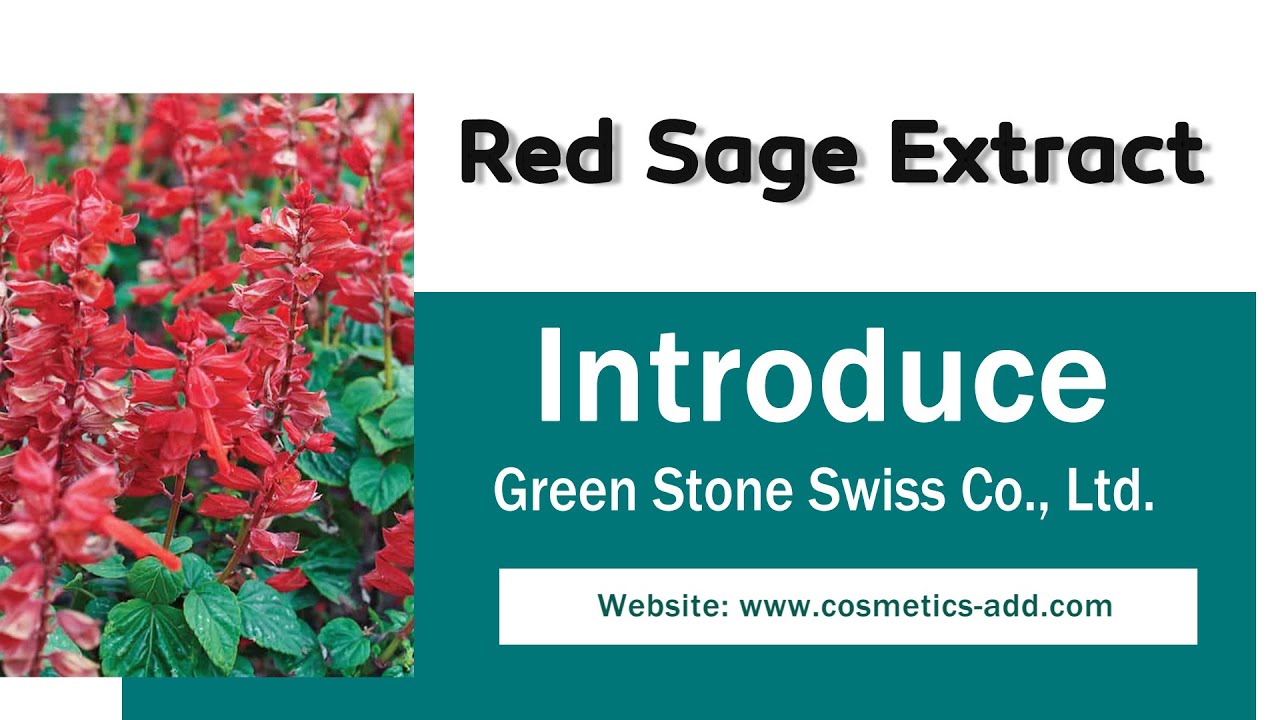 Organic Red Sage Extract Root Salvia Suppliers and Sales