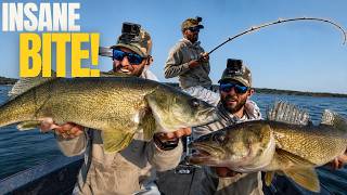 GIANT Walleyes Were CRAZY AGGRESSIVE for this Lure!