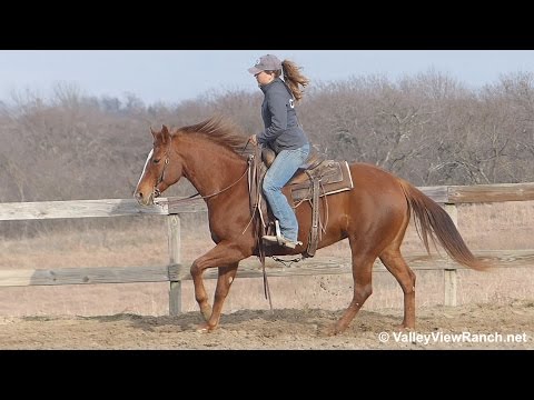 crimson-lights---riding-in-outdoor-arena---valley-view-ranch