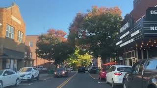 Fall foliage at Highlands Hudson Valley 10/20/2022