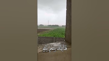 تلاوة خاشعه محمد أيوب(وَلَقَدْ أَرَيْنَاهُ آيَاتِنَا كُلَّهَا فَكَذَّبَ وَأَبَىٰ (56)طه