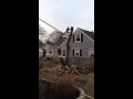 Tree between the houses almost gone