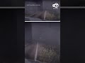Deputy screams as 'dead' deer comes back to life