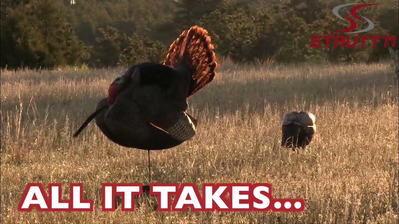 STRUTT'N 360 Remote Turkey Decoy Motion System YouTube