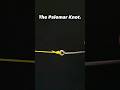 The strongest fishing knot ftwq fishthatwontquit strongestfishingknot fishingknots fishingtips