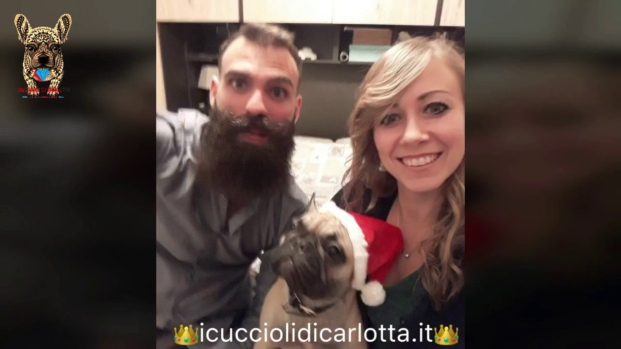 I Cuccioli Di Carlotta : Opinioni Recensioni Aggiornamenti - YouTube
