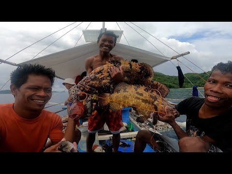 Video: Pagkain Ng Isda: Paano Wastong Pinakain Ang Iyong Alagang Hayop Sa Ilalim Ng Dagat