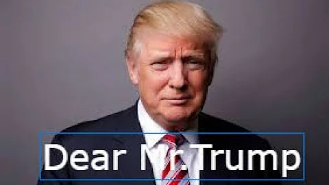 Donald Trump Dear Mr.President P!nk