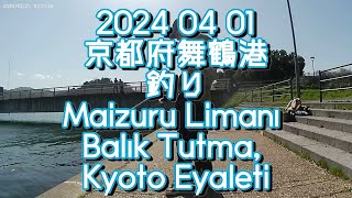 2024 04 01 京都府舞鶴港釣り　ワイドサイズ　Maizuru Limanı Balık Tutma, Kyoto Eyaleti