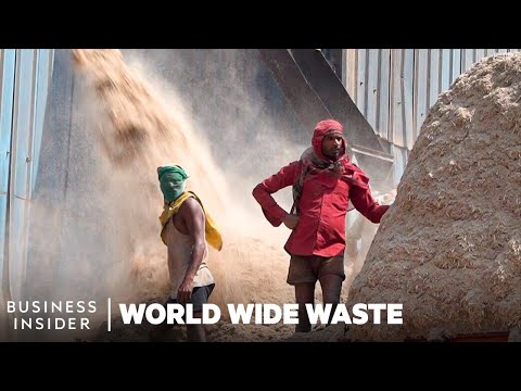 How Plates Made From Sugarcane Could Help India's Plastic Problem - World Wide Waste