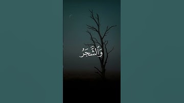 ألم تر ان الله يسجد له من في السموات والارض | قران كريم ياسر الدوسري