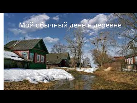 Мой обычный день