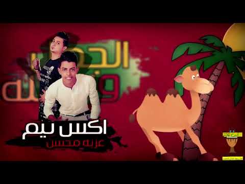 تحميل Mp4 Mp3 مهرجان الجمل و النخلة العجوز والصبي ا 9f47400ea