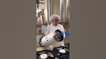 HOW OT WORKS - new KeyKeg filling station | Craft Brewery #bottling #brewery #craft #machine #shorts