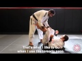 Leandro Lo - Torreada Pass from BJJ Library Seminar