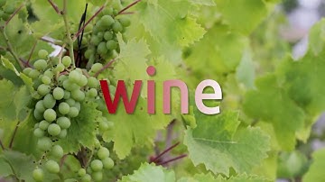 How to install and use Wine 4.0.1 on Zorin 15