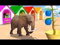 Elephant colors  elephant  learn color with animals zainab ka tiranga