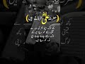 Allah Knows Your Pain ❤️ | Islamic Reminder #allah #poetry