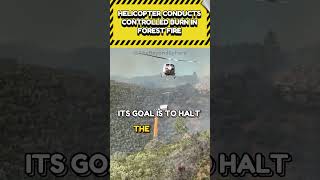 Helicopter Conducts Controlled Burn in Forest Fire 🔥🚁🌲 |  #Science #DidYouKnow #Fire #Helicopter