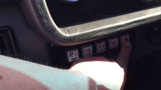 87 Lambo countach exotic illusions